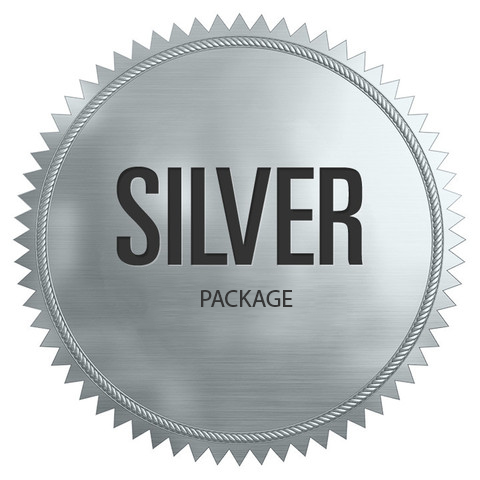 silver اشتراک ویژه سه ماهه