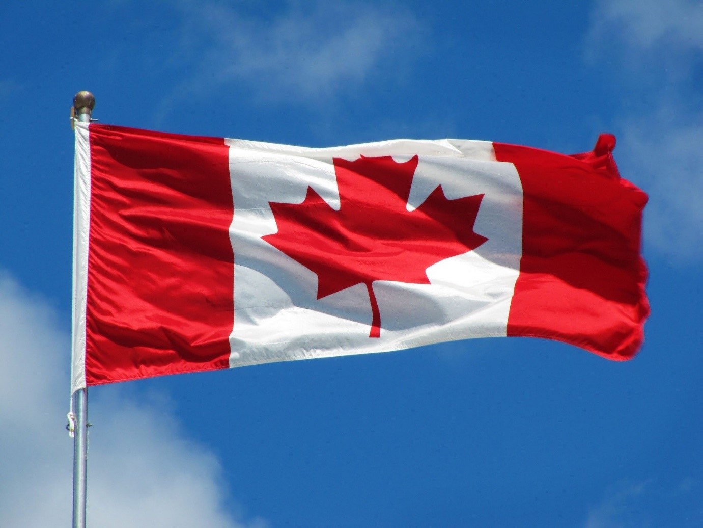 ویزای کار imp کانادا چیست؟
